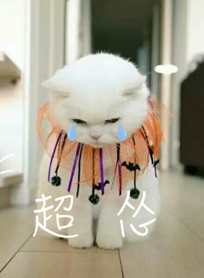 超怂