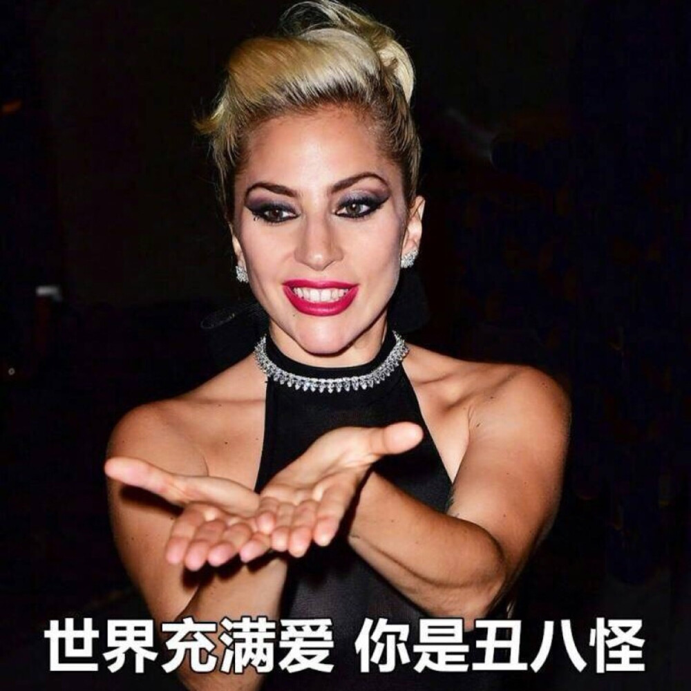 lady gaga表情包