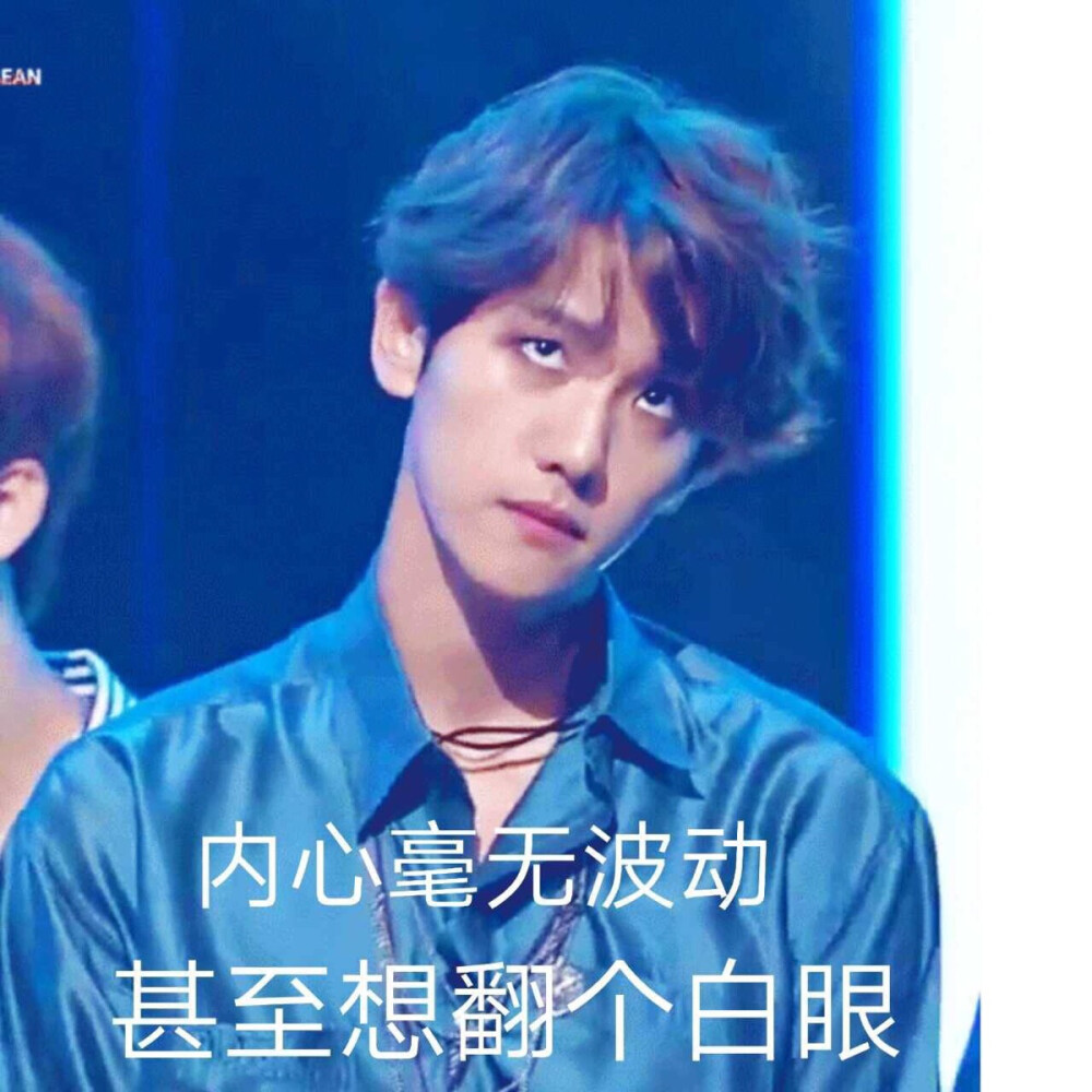 exo边伯贤表情包