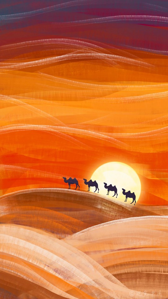 壁纸沙漠骆驼落日