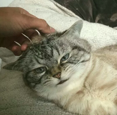 超凶头像