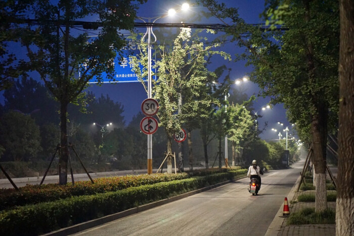 街道 路灯 夜景