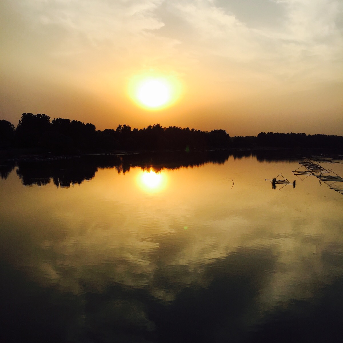 夕阳红 