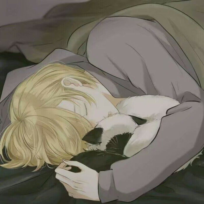 猫与男