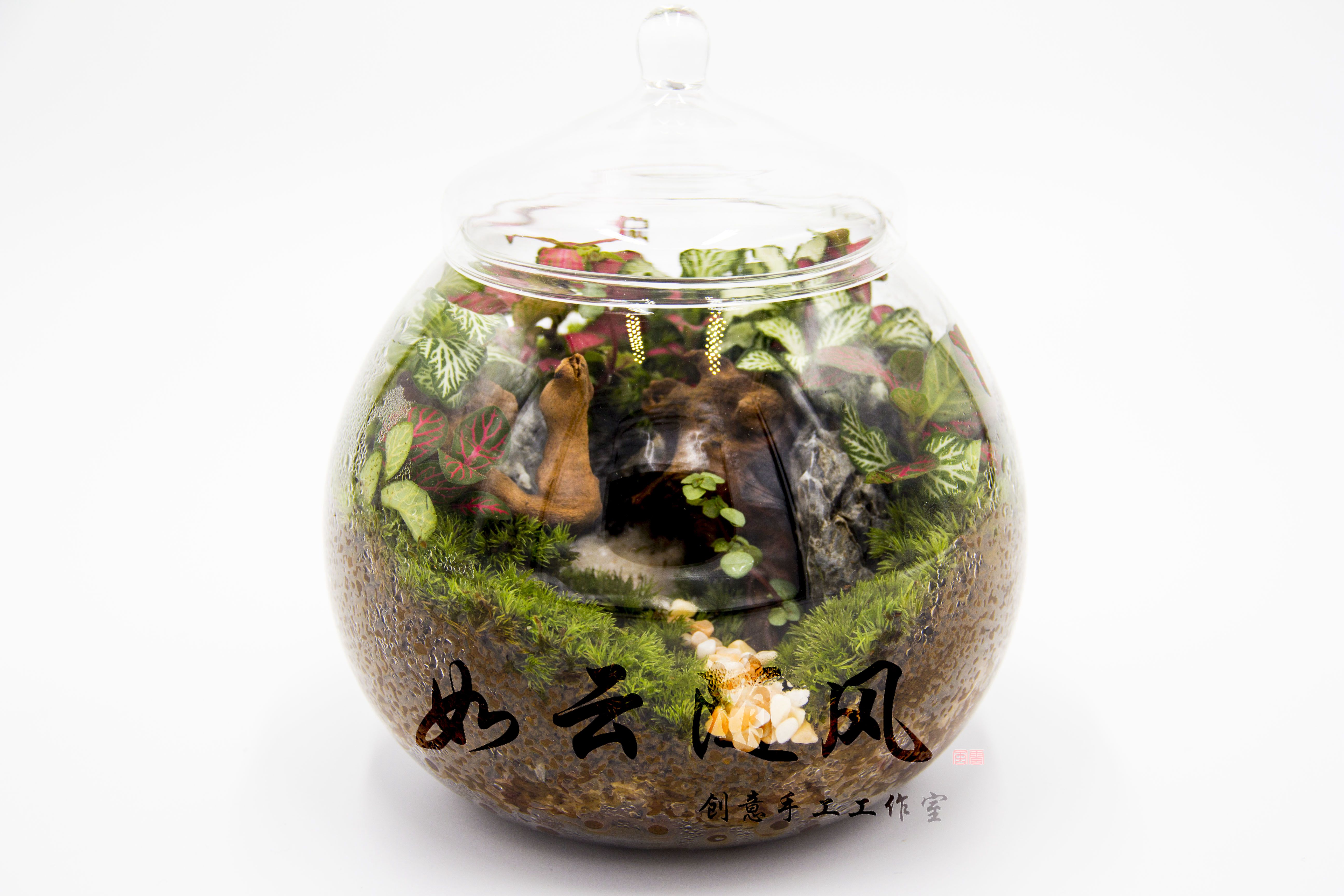 苔藓微景观 小圆瓶 桌面景观