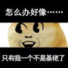 doge灵光乍现表情包