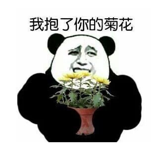 金馆长表情包 恶搞表情包 熊猫表情包 抱了你的菊花表情包 爆菊表情包