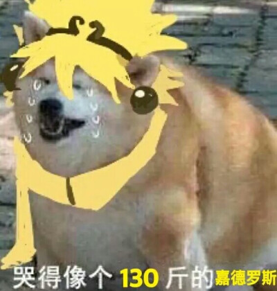 凹凸世界