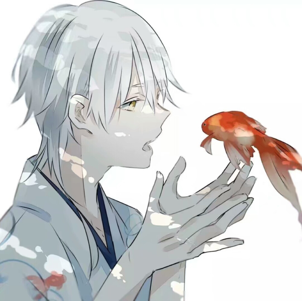 二次元男头