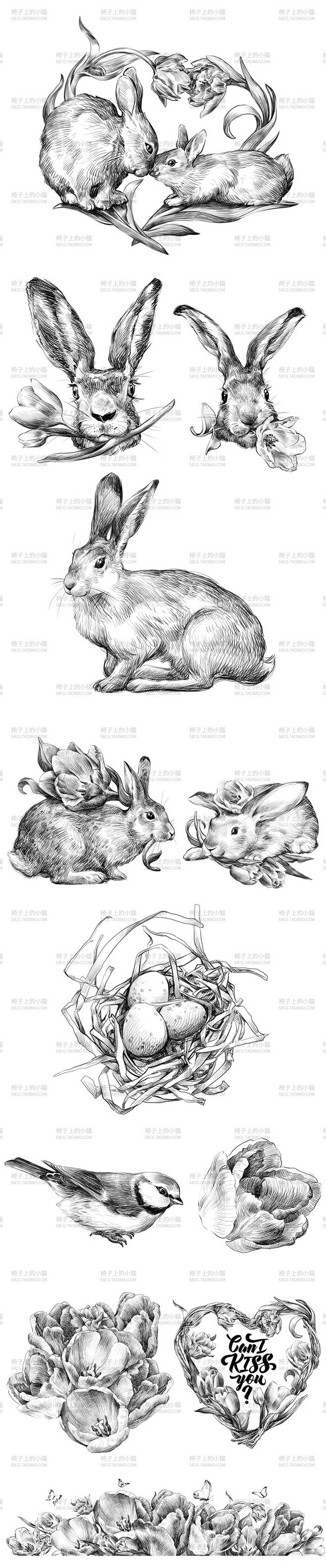 手绘动物 兔子 鸟花 素描画 卡片素材 海报 贺卡 时尚 复古 流行 钢笔