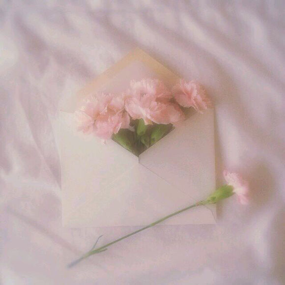 少女心背景图#花#信封