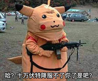 点赞  评论  哈哈哈哈哈太可爱啦 0 17 猫九icon  发布到  表情包