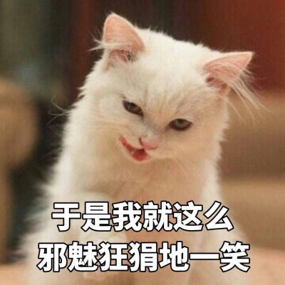 蔑视/
