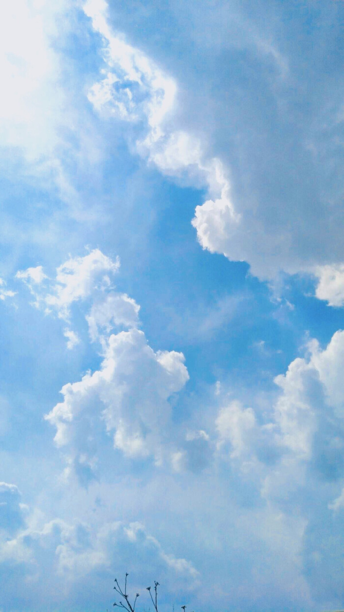 天空 云蓝 纯净 高清iphone壁纸