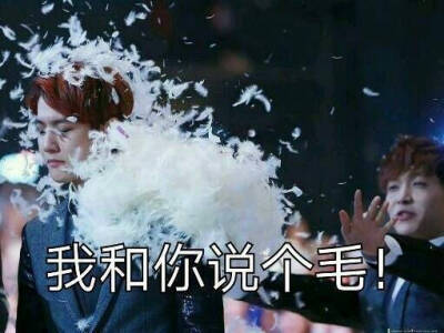 exo 边伯贤 张艺兴 蛋白/咸蛋 表情包哈哈哈蛋蛋笑得好欢:"巴啦啦能量