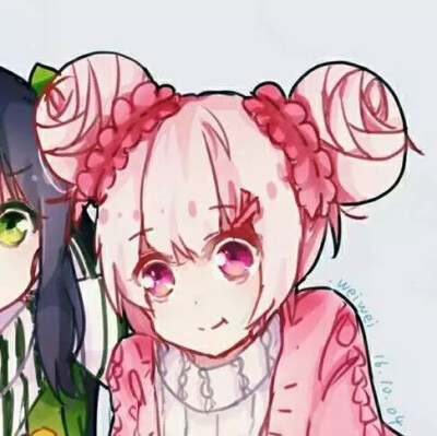 hope sama の 闺蜜头像王者荣耀,小乔"陪你追尽四世风光,看遍世间晨光