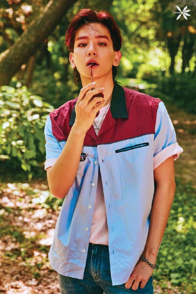 exo teaser 边伯贤