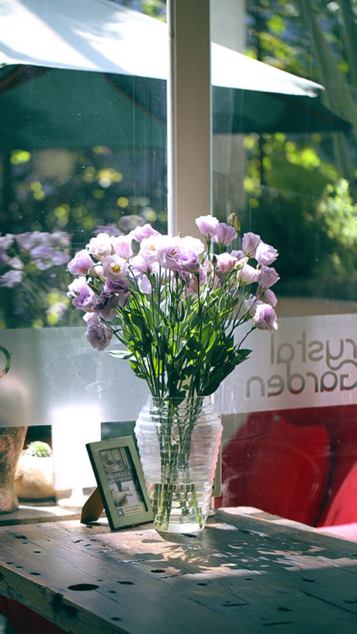 唯美 洋桔梗 鲜花 淡紫色花朵 窗边 阳光 安静 室内