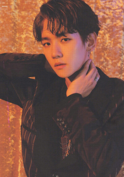 【24k纯伯贤】exo lotto 周围postcard set 扫图 18p