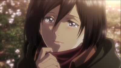 mikasa 