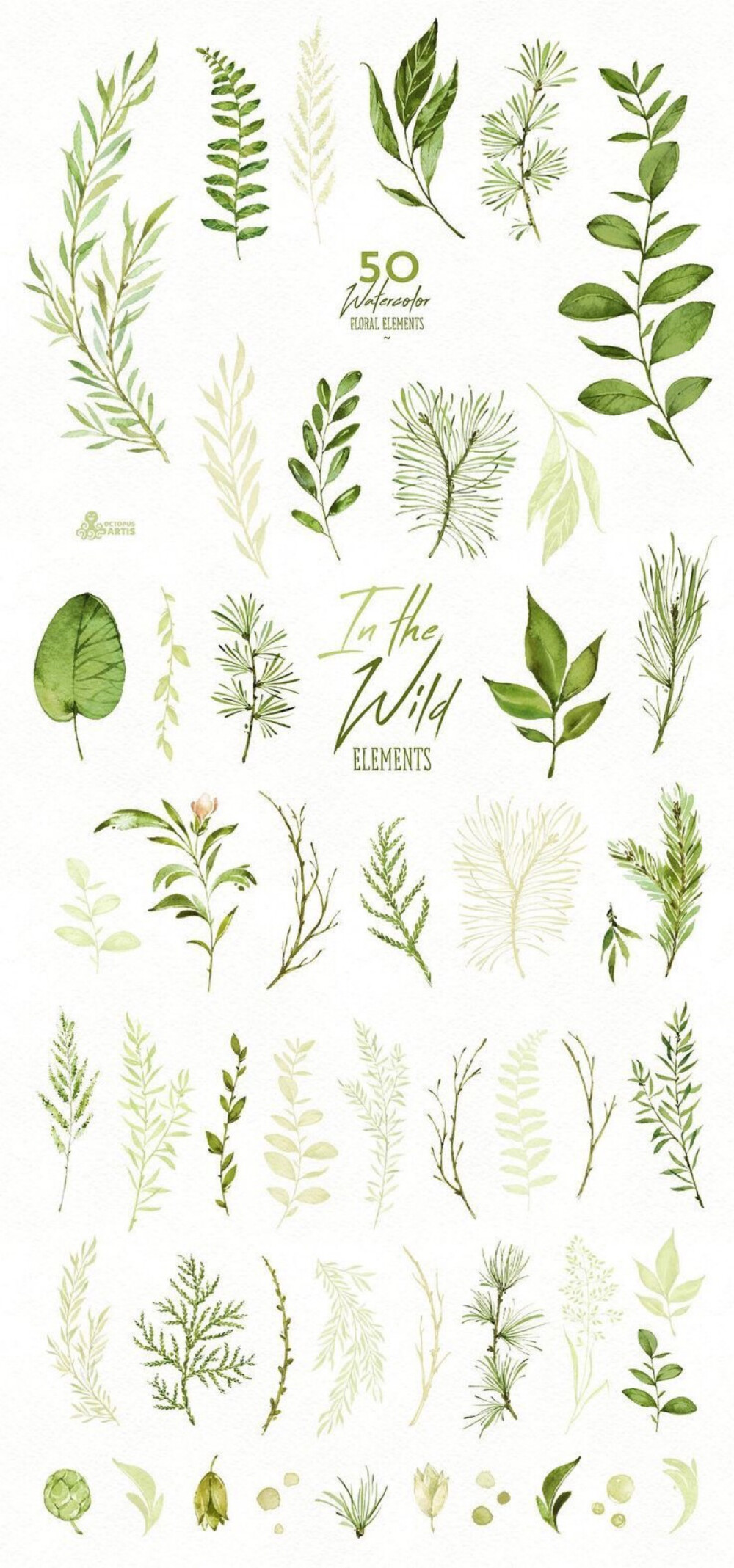 手绘水彩绿色植物 小清新平面设计 手账贴纸素材 树叶 森系