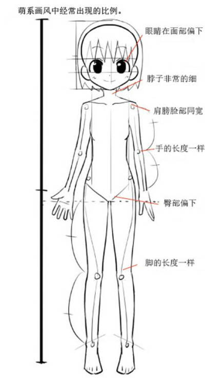 动漫人体比例