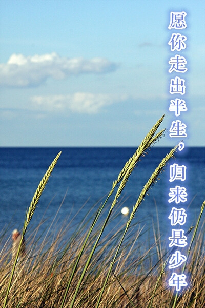 不生产心灵鸡汤,只是心灵鸡汤的搬运工