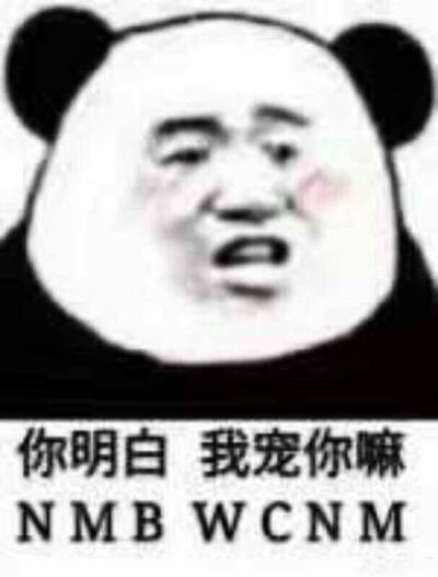 熊猫表情包 原图 cnm 搞笑