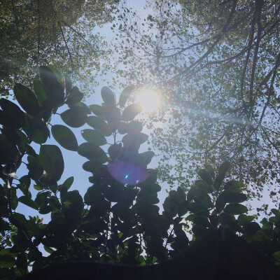 "这么好的天气,就应该出来散散步,吹吹风,见见我.