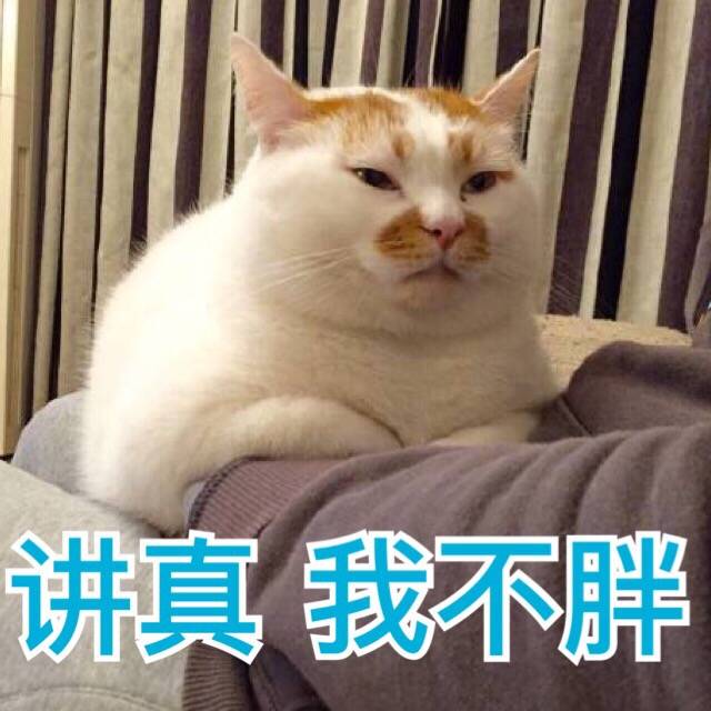 来源 微博 猫咪表情包