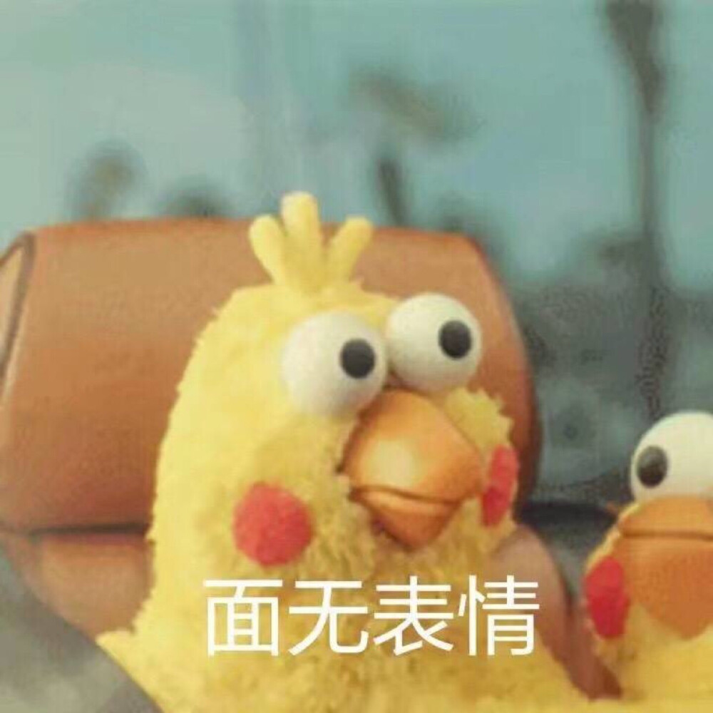 鹦鹉脆皮炸鸡表情包