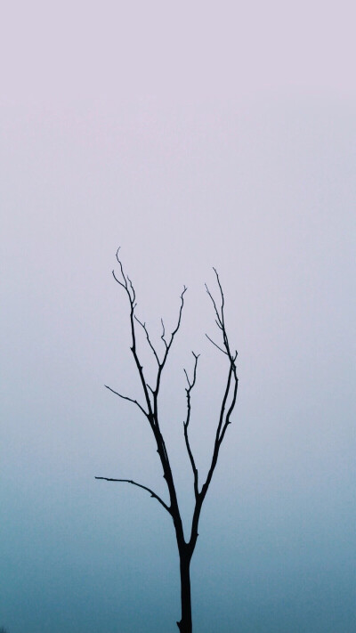 iphone简约背景