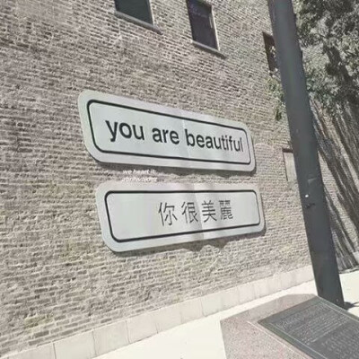 背景图 背景墙 喜欢就粉我 肯定不会错