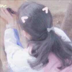 人狗 情头 【音璃cc】