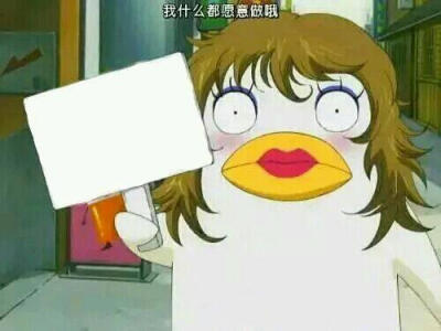 互赞