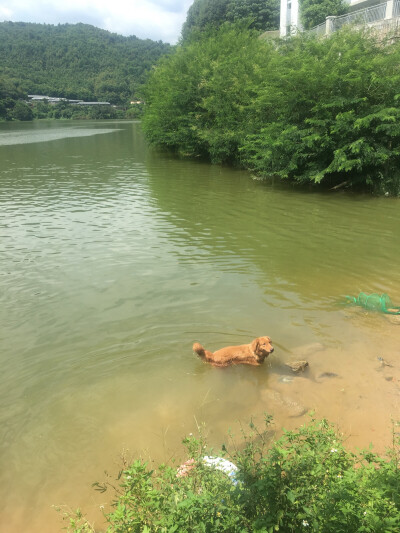 广州龙洞水库