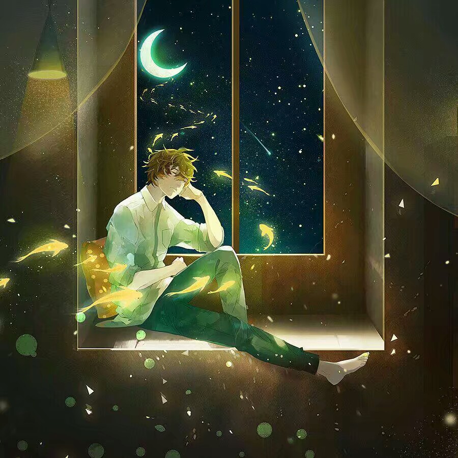 动漫 二次元 插画 梦幻 星光 唯美 小清新 组图 套图 情侣头像 /花与