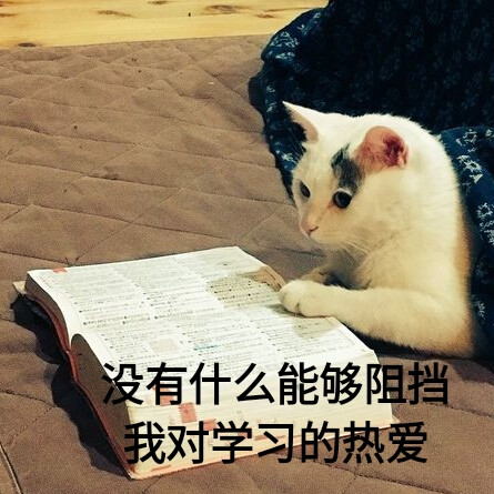 我爱学习