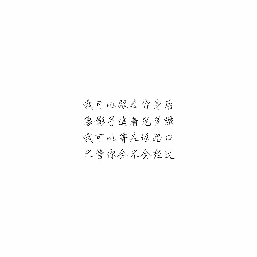 文字 歌词追光者