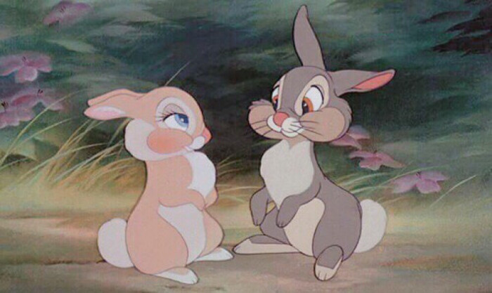 背景 兔子 迪士尼 头像 情侣