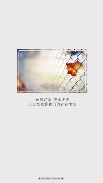 【毕业季歌曲/桅子花开】#壁纸/锁屏/文字/语录/青春/励志/加油/高考