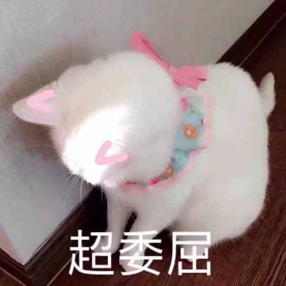 小仙女用