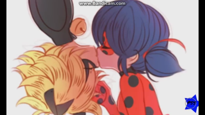 miraculous,瓢虫少女,瓢虫雷迪,ladybug,cat noir,chat noir