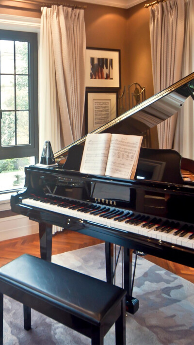 钢琴是西洋音乐古典中的一种键盘乐器,有"乐器之王"的美称.