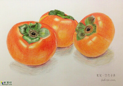 彩铅手绘――柿子