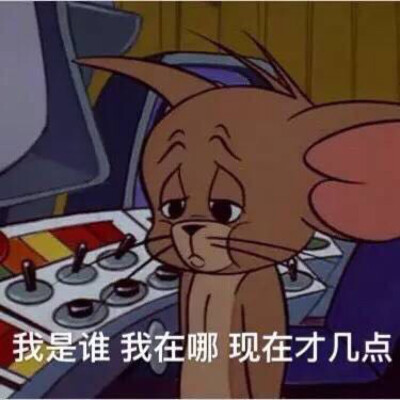 猫和老鼠表情包# 我是谁我在哪现在才几点