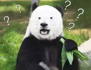 熊猫问号表情包