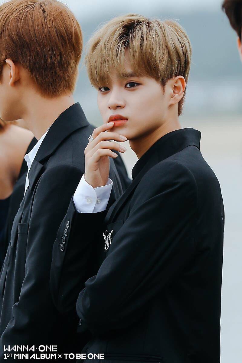 wannaone 李大辉