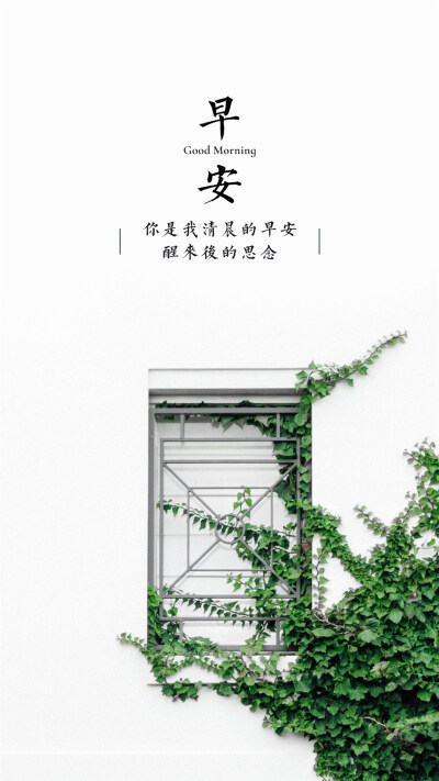 清新早安文字图片手机壁纸