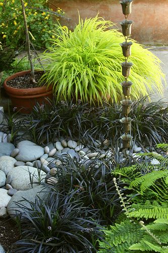 花园植物 日式庭院植物推荐 堆糖 美图壁纸兴趣社区